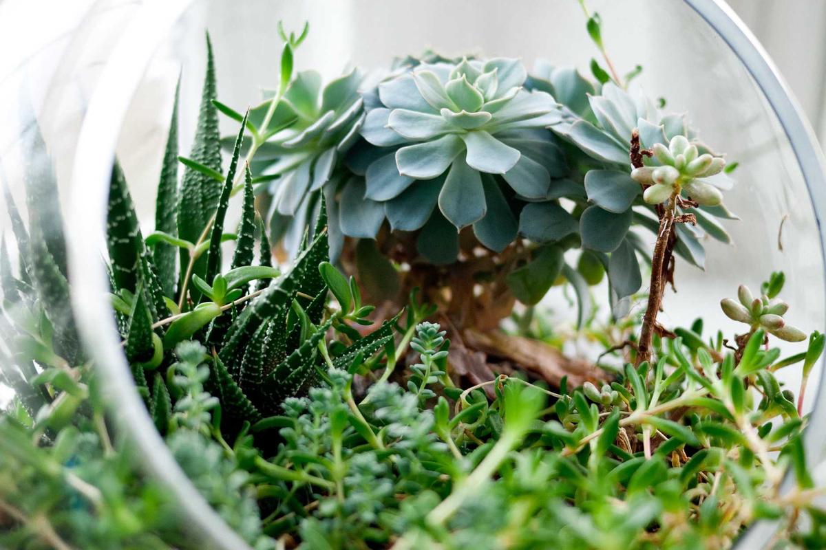 What Happens If Your Home Appraises Below the Purchase Price?