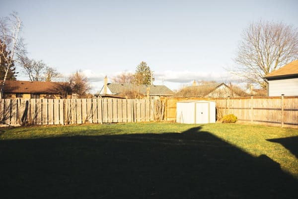 Fall Lawn Overseeding: Why the Transition Zone's Window Opens in Late August, Not September