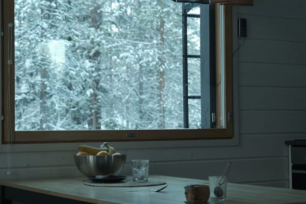 Pipe Freeze Prevention: The $20 Fix That Beats a $4,000+ Water Damage Claim