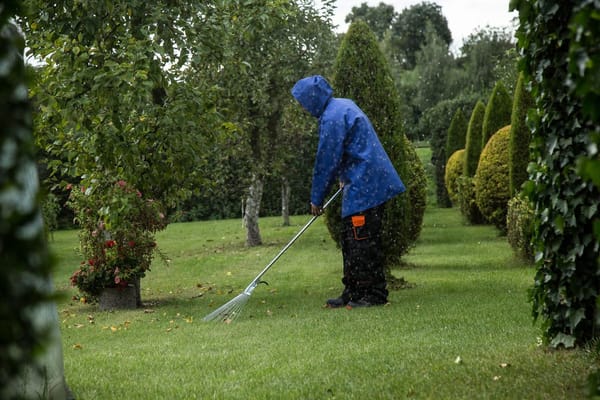 Fall Leaves in 2026: Mulch Them, Move Them or Haul Them, and Keep Them Out of the Street